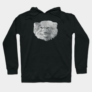 Manul-Pallas's cat Hoodie